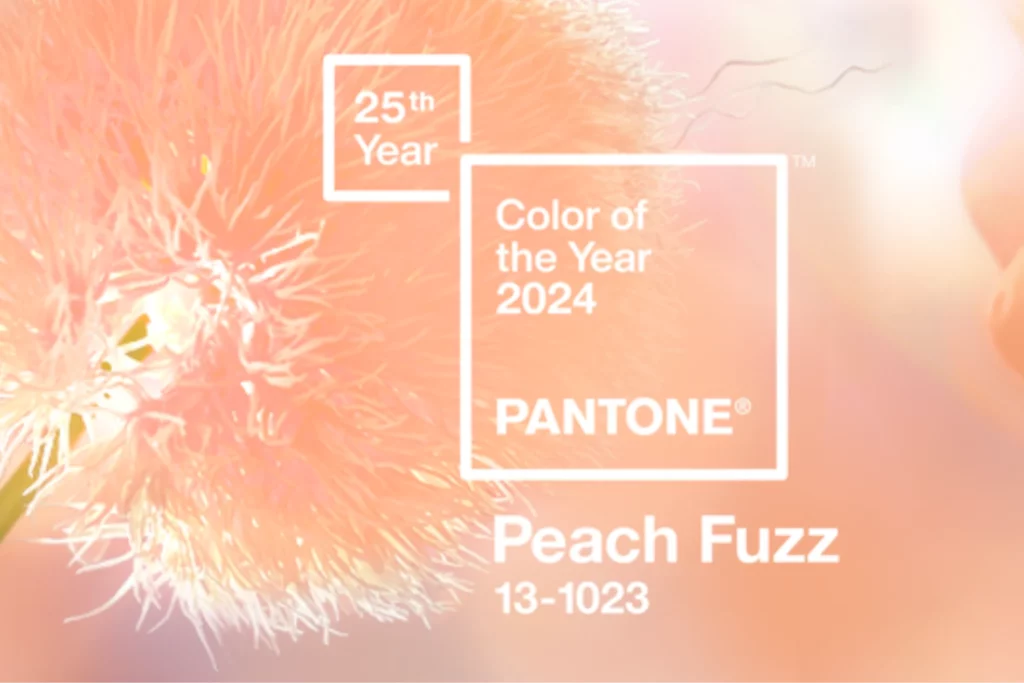 couleur pantone 2024 header