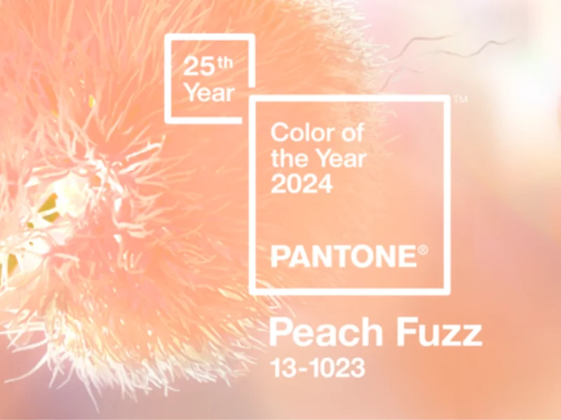 couleur pantone 2024 header